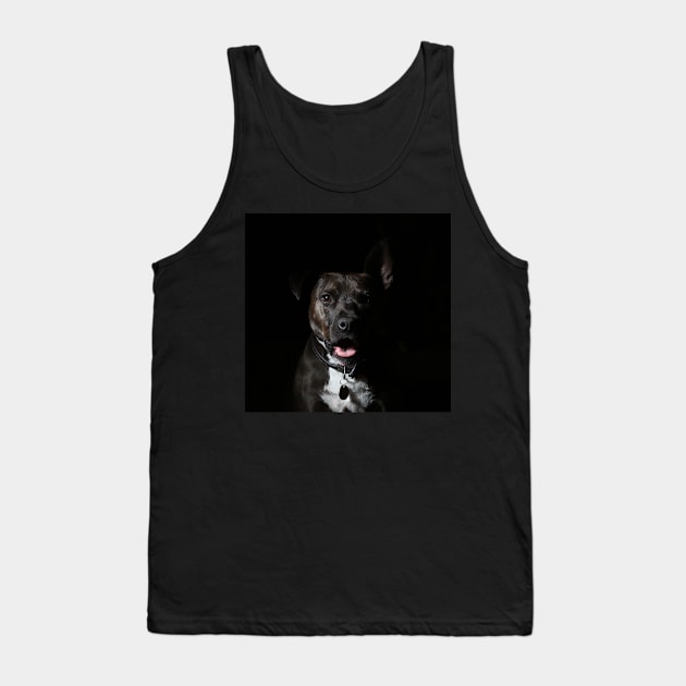 pit bull Tank Top by DonVector